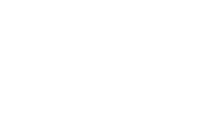 SpeedEFX