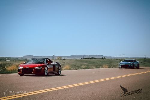 Meg Jacobsen Photography