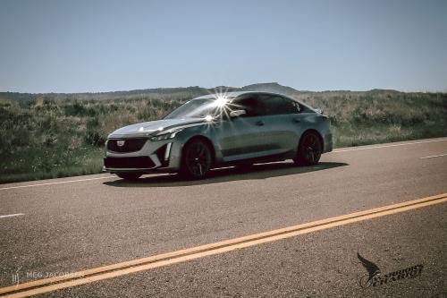 Meg Jacobsen Photography