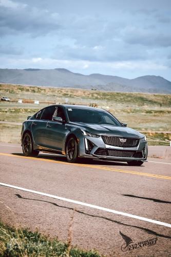 Meg Jacobsen Photography