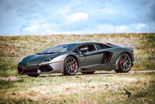 Meg Jacobsen Photography